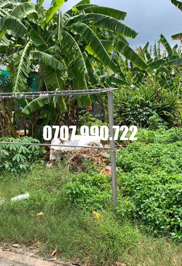 bán đất long hậu